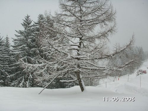 PICT0082