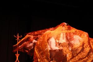 IMG 9971